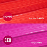 2-in-1  Brilliant Colours Lip and Cheek Tint Duo