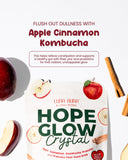 HOPE GLOW Crystal Apple Cinnamon Kombucha – Probiotic & Prebiotic Juice Drink  (18g x 10 Sachets)