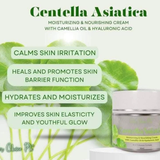 Her Choice PH Centella Asiatica Premium Repair Set – 4-Step Korean-Inspired Skincare Routine
