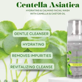Her Choice PH Centella Asiatica Premium Repair Set – 4-Step Korean-Inspired Skincare Routine